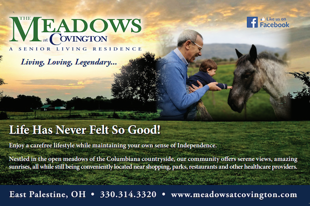 The Meadows at Covington image