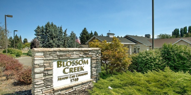 Blossom Creek image