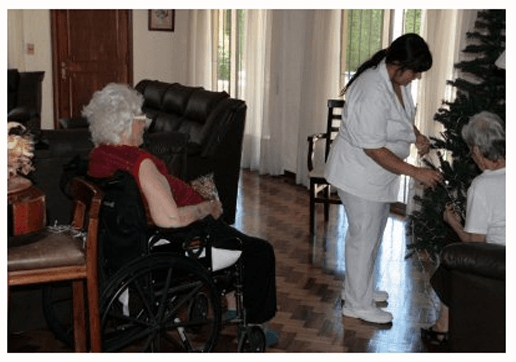 Tampa Seniors Care image