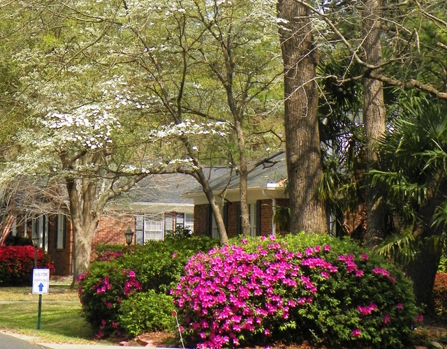 Presbyterian Home of Sc - Summerville image