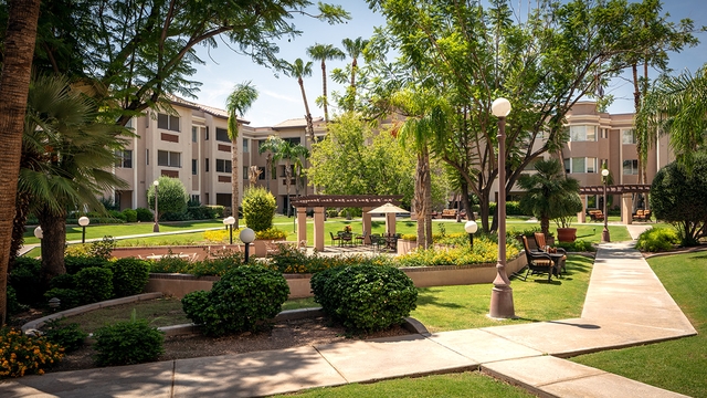 The Palms at Sun City image