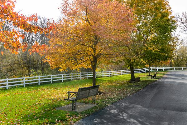 Elderwood Assisted Living at Cheektowaga image