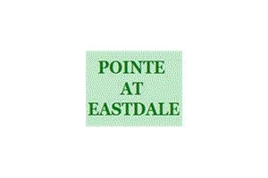The Pointe at Eastdale image