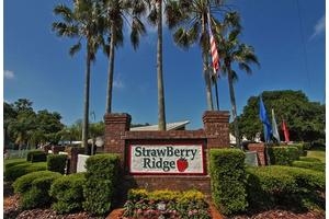 StrawBerry Ridge image