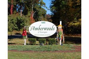 Amberwoods Of Farmington image