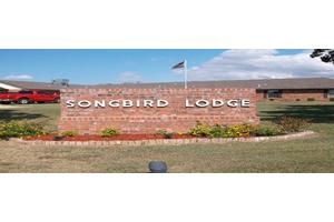 Songbird Lodge image