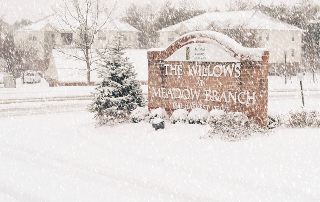 The Willows at Meadow Branch image