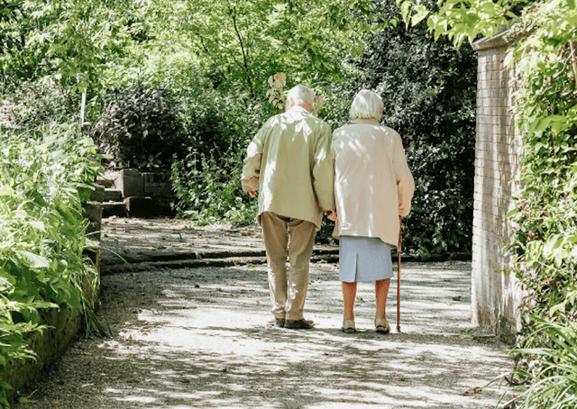 Whole Hearted Senior Home Care image