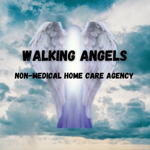 Walking Angels Non Medical Home Care Agency LLC - Belleville, IL  image