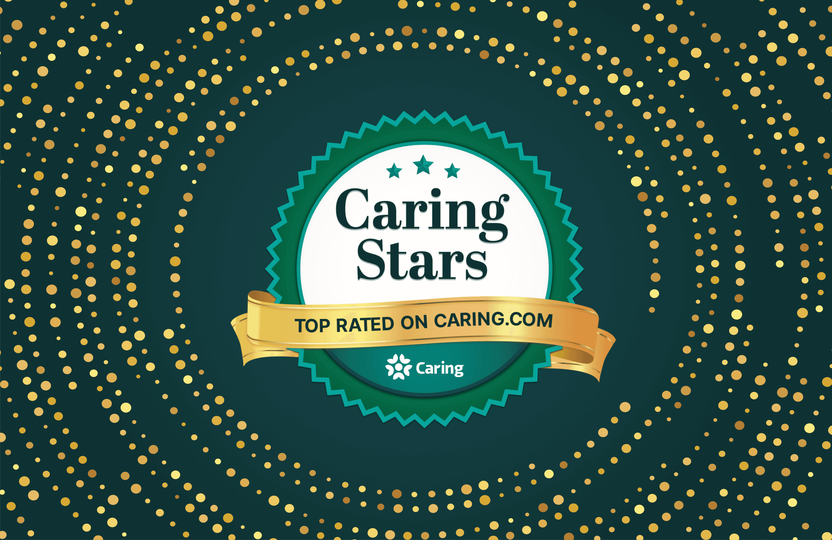 2024 Caring Stars Banner Wide