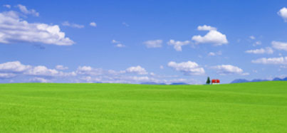 Picture of a field with light cloud cover