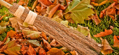 Picture of a straw broom raking leaves
