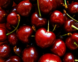 Dark red cherries