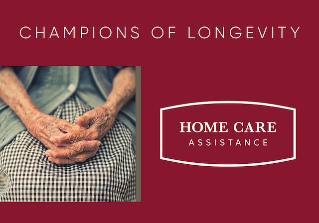 Home Care Assistance of Chicago image