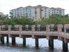 Mangrove Bay