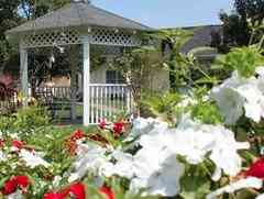 Sweetbriar