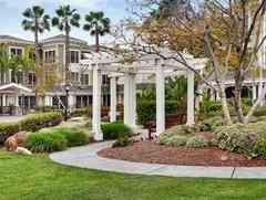 Ivy Park at Seal Beach