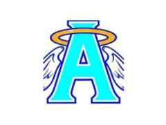 Angel Care Home Companion Services, Inc