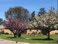 The Village of East Harbor