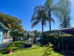 Abbey's Caring Residence