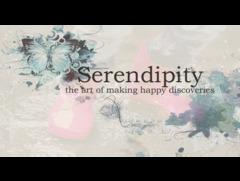 Serendipity Senior Companion Care Inc
