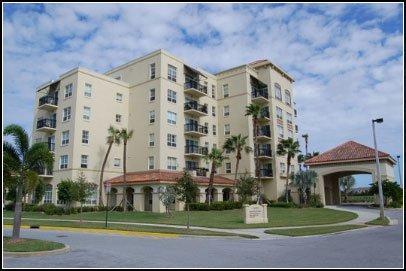 The Tradition of the Palm Beaches