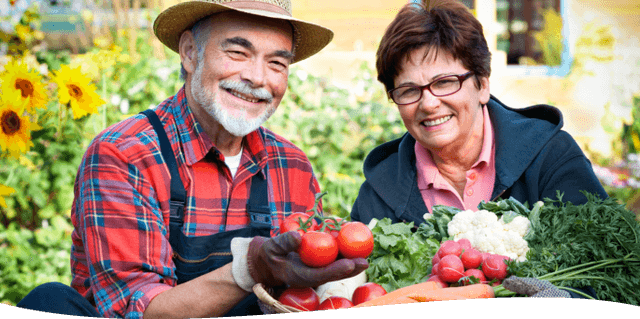 Tranquil Gardens Home Care Management