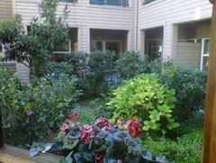 Tiffany Court of Walnut Creek