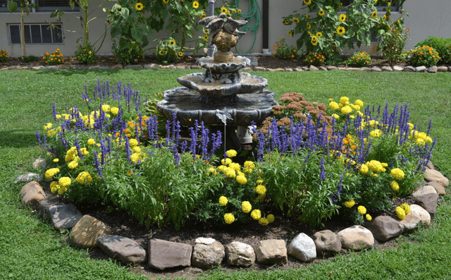 Hawksbill Assisted Living
