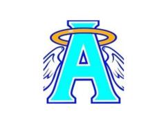 Angel Care Home Companion Services, Inc