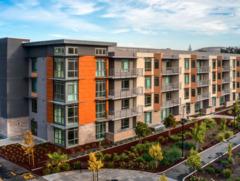 Viamonte at Walnut Creek