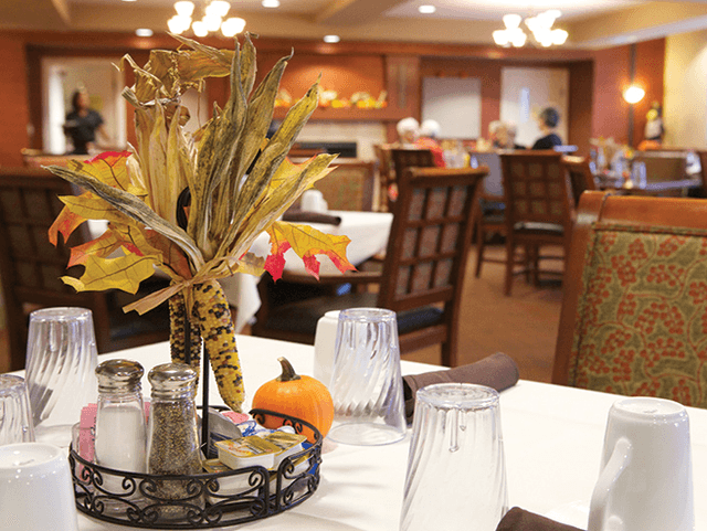Senior Living In Rosemount Mn