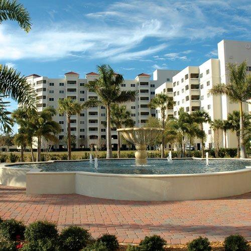 Jacaranda Trace