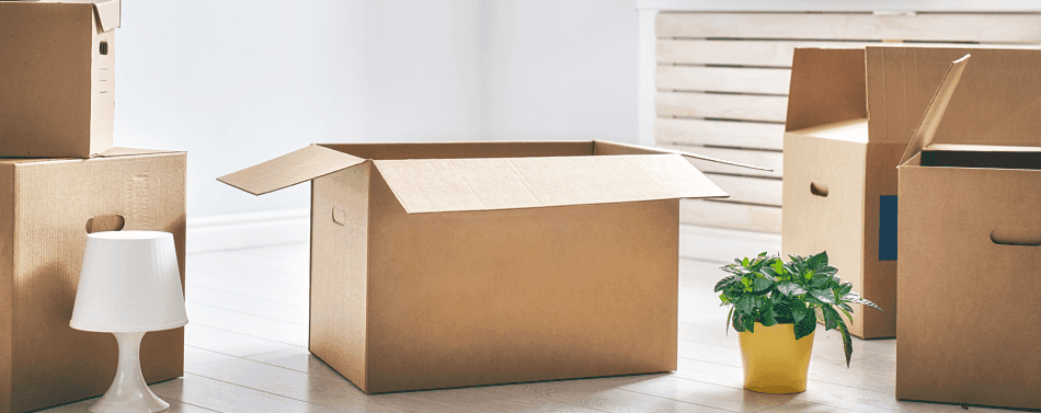 An open cardboard box roughly the size of a toaster oven sits on a white tile floor, surrounded by other cardboard boxes, a white lamp, and a green, leafy houseplant in a yellow pot.