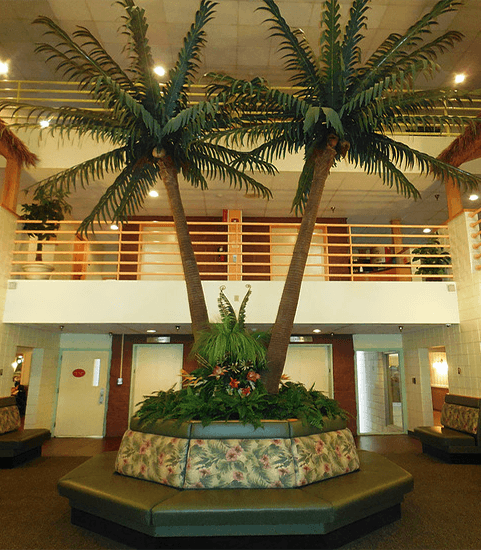 The Palms At O'Neil image
