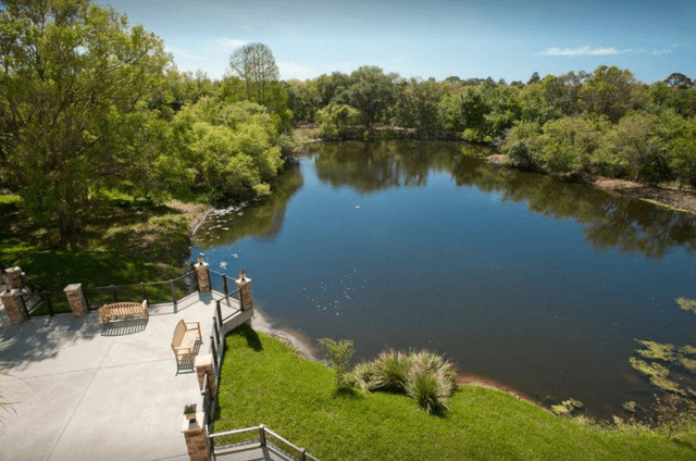 The Preserve at Clearwater image