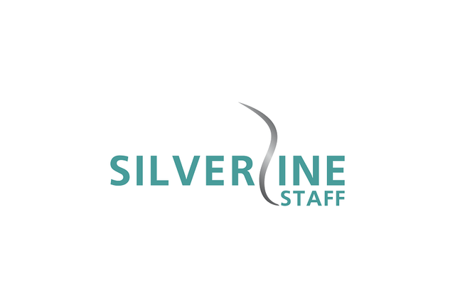 Silverline Staff, Inc image