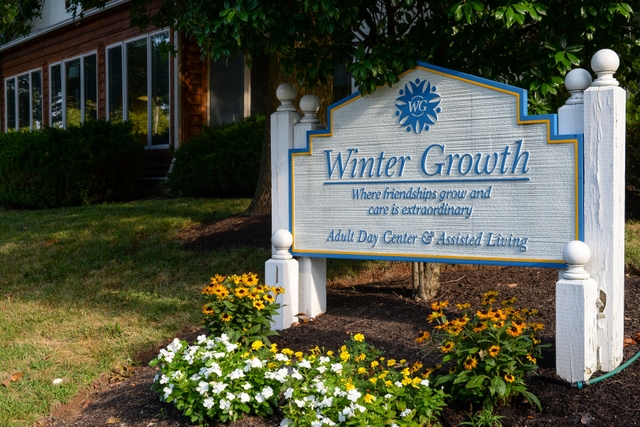 Winter Growth image