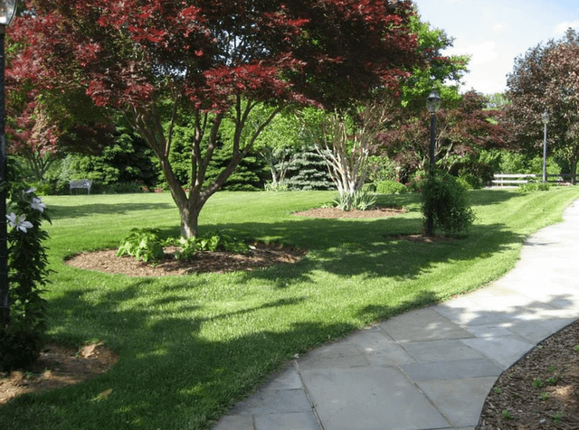 Country Gardens Assisted Living image