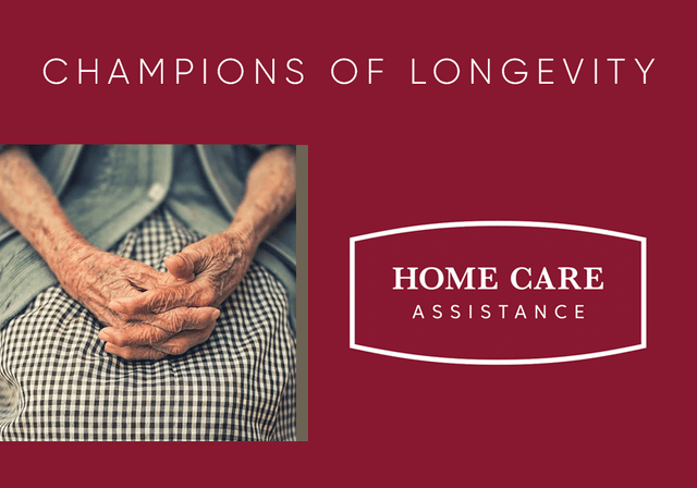 Home Care Assistance of Chicago image
