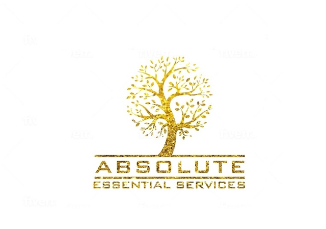 Absolute Essential Services LLC - Jacksonville, FL image