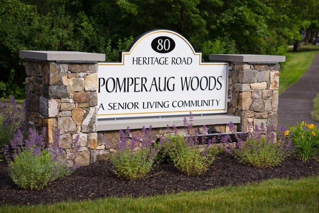 Pomperaug Woods image