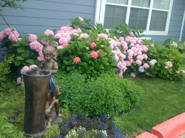 The Rose House image