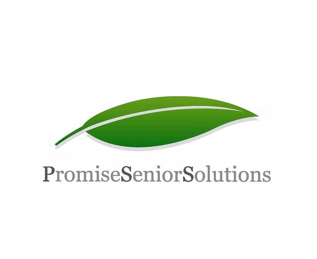 Promise Senior Solutions - San Antonio, TX