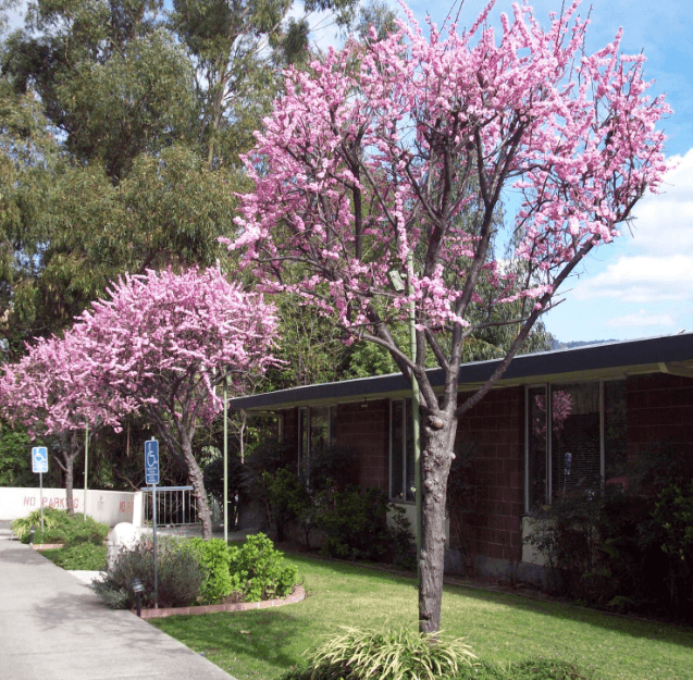 Bellaken Garden and Skilled Nursing Center image