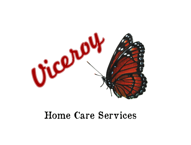 Viceroy Home Care Services - Murray, KY image