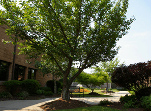 Bridgeway Care and Rehabilitation Center at Bridgewater image
