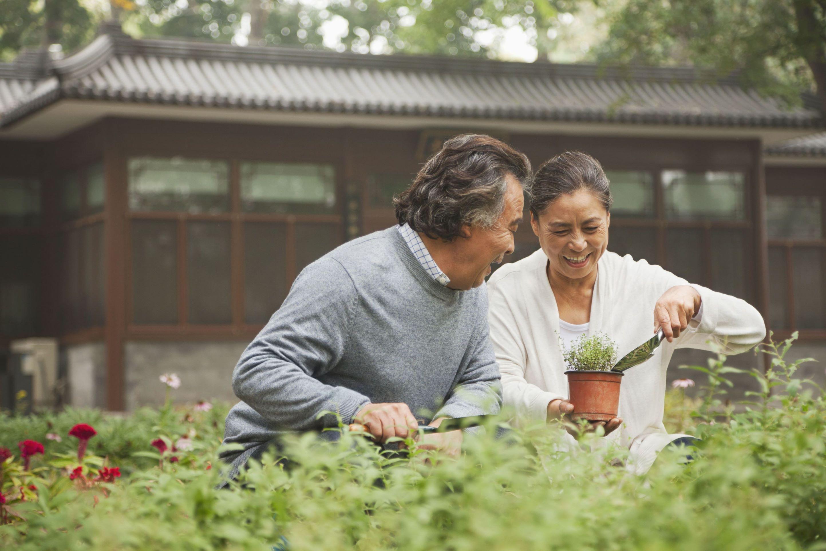 A man and a woman gardening