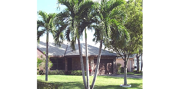 The Gardens at Coral Springs image