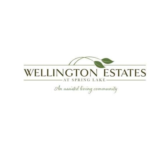 Wellington Estates at Spring Lake image